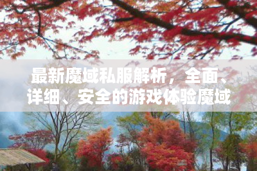 最新魔域私服解析，全面、详细、安全的游戏体验魔域私服发布网刚刚开一秒