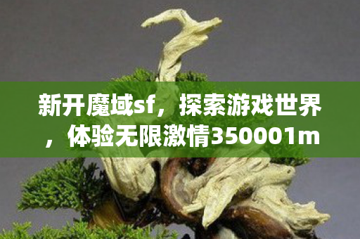 新开魔域sf，探索游戏世界，体验无限激情350001my魔域发布网新开服
