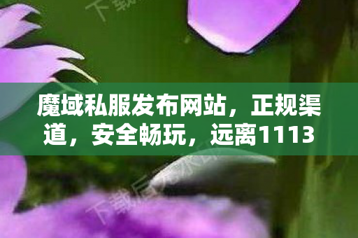 魔域私服发布网站，正规渠道，安全畅玩，远离111350001魔域sf发布网刚开一秒