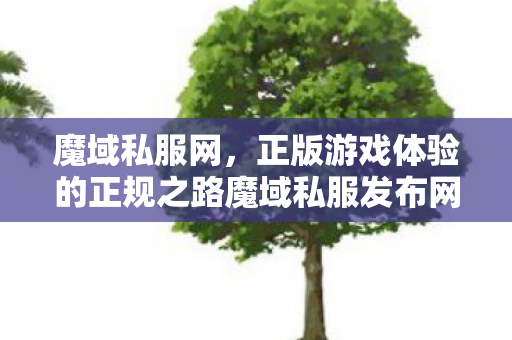 魔域私服网，正版游戏体验的正规之路魔域私服发布网