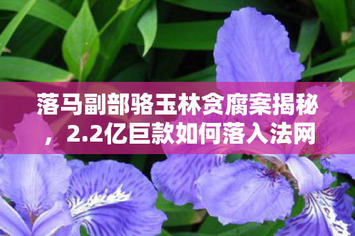 落马副部骆玉林贪腐案揭秘，2.2亿巨款如何落入法网