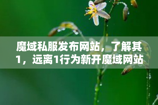 魔域私服发布网站，了解其1，远离1行为新开魔域网站