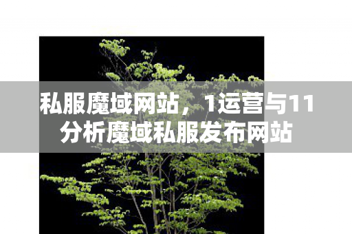 私服魔域网站，1运营与11分析魔域私服发布网站