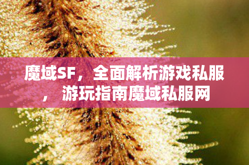 魔域SF，全面解析游戏私服， 游玩指南魔域私服网