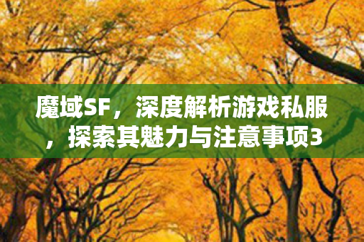 魔域SF，深度解析游戏私服，探索其魅力与注意事项350001魔域