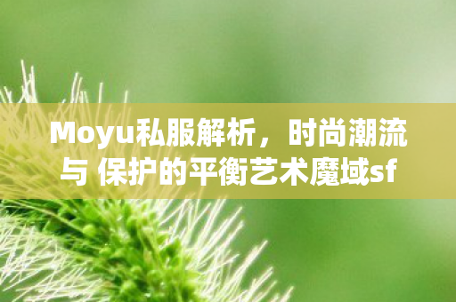 Moyu私服解析，时尚潮流与 保护的平衡艺术魔域sf