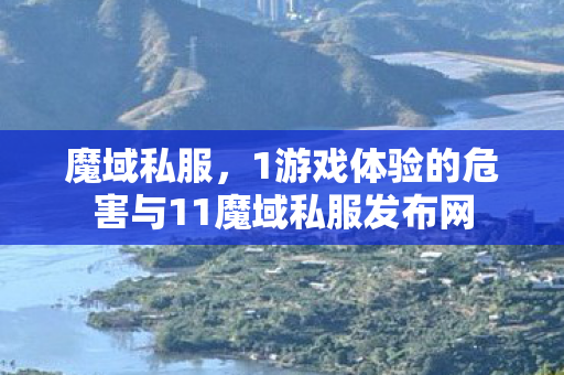 魔域私服，1游戏体验的危害与11魔域私服发布网