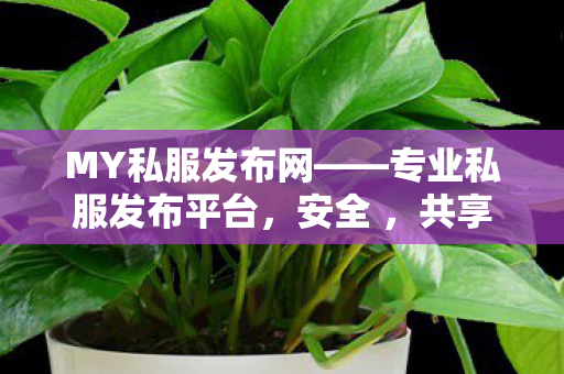 MY私服发布网——专业私服发布平台，安全 ，共享游戏乐趣新开魔域sf
