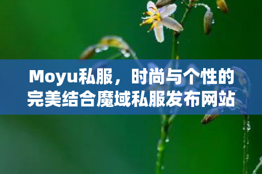 Moyu私服，时尚与个性的完美结合魔域私服发布网站