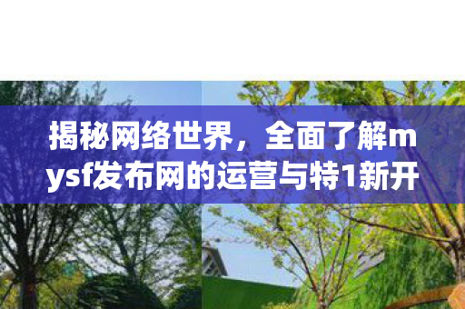 揭秘网络世界，全面了解mysf发布网的运营与特1新开魔域sf