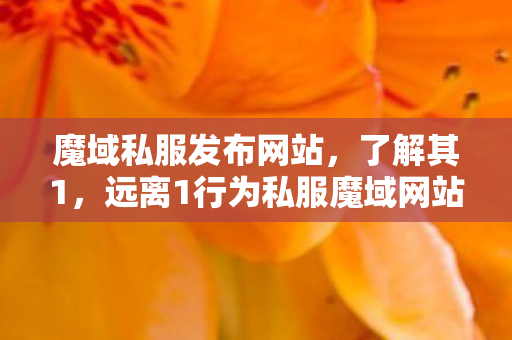 魔域私服发布网站，了解其1，远离1行为私服魔域网站大全