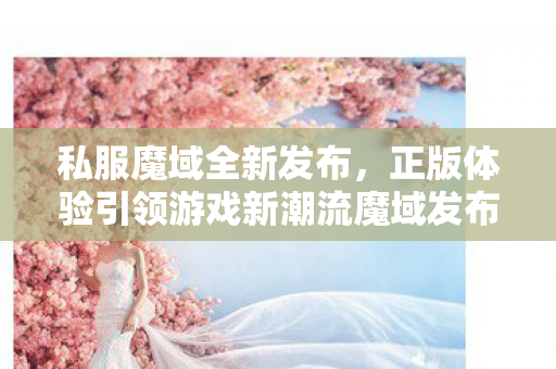 私服魔域全新发布，正版体验引领游戏新潮流魔域发布网