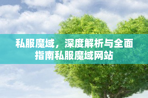 私服魔域，深度解析与全面指南私服魔域网站