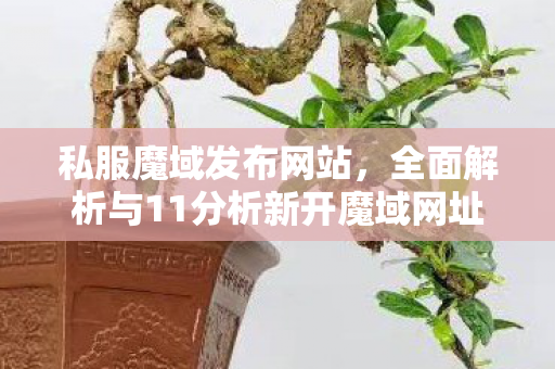 私服魔域发布网站，全面解析与11分析新开魔域网址