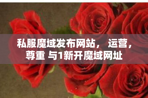 私服魔域发布网站， 运营，尊重 与1新开魔域网址