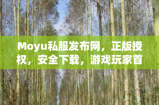 Moyu私服发布网，正版授权，安全下载，游戏玩家首选平台魔域sfu