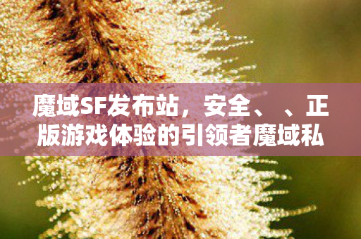 魔域SF发布站，安全、 、正版游戏体验的引领者魔域私服网