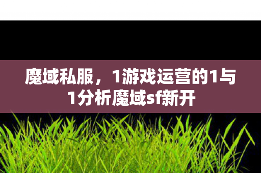 魔域私服，1游戏运营的1与1分析魔域sf新开