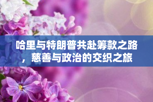 哈里与特朗普共赴筹款之路，慈善与政治的交织之旅