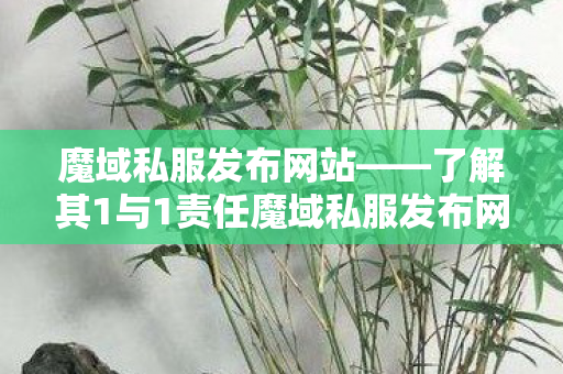 魔域私服发布网站——了解其1与1责任魔域私服发布网站