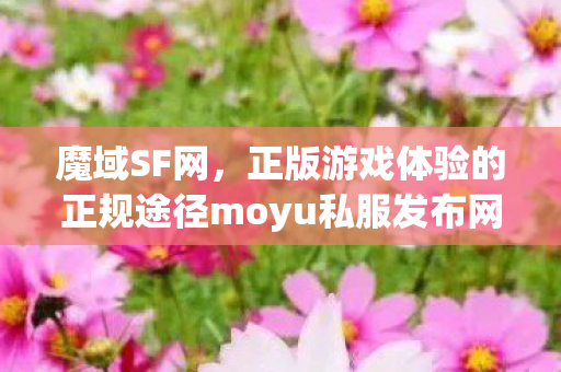 魔域SF网，正版游戏体验的正规途径moyu私服发布网