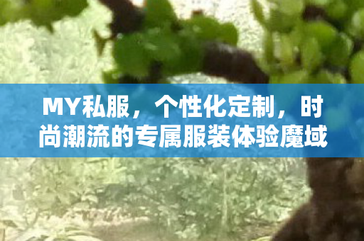 MY私服，个性化定制，时尚潮流的专属服装体验魔域私服发布网