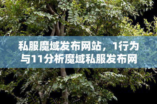 私服魔域发布网站，1行为与11分析魔域私服发布网