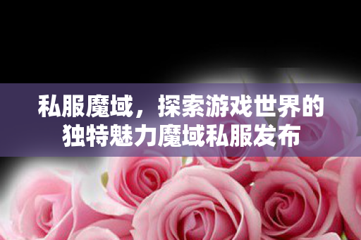 私服魔域，探索游戏世界的独特魅力魔域私服发布