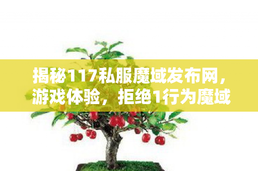 揭秘117私服魔域发布网， 游戏体验，拒绝1行为魔域私服发布