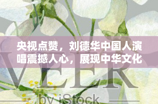 央视点赞，刘德华中国人演唱震撼人心，展现中华文化魅力