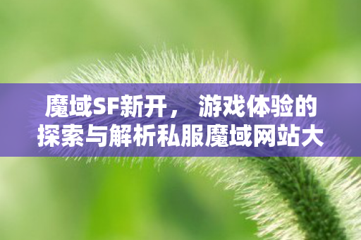 魔域SF新开， 游戏体验的探索与解析私服魔域网站大全