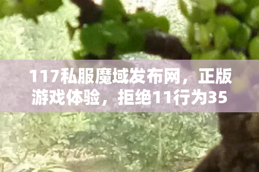117私服魔域发布网，正版游戏体验，拒绝11行为350001魔域发布网新开服