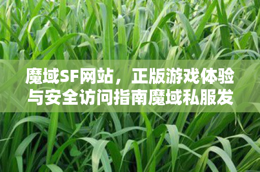 魔域SF网站，正版游戏体验与安全访问指南魔域私服发布网站