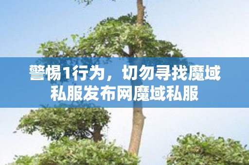 警惕1行为，切勿寻找魔域私服发布网魔域私服