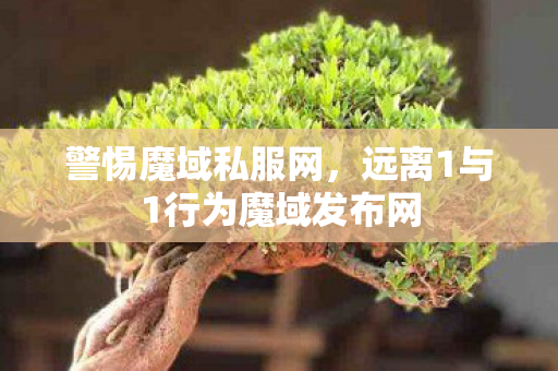 警惕魔域私服网，远离1与1行为魔域发布网