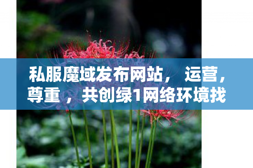 私服魔域发布网站， 运营，尊重 ，共创绿1网络环境找魔域私服发布网