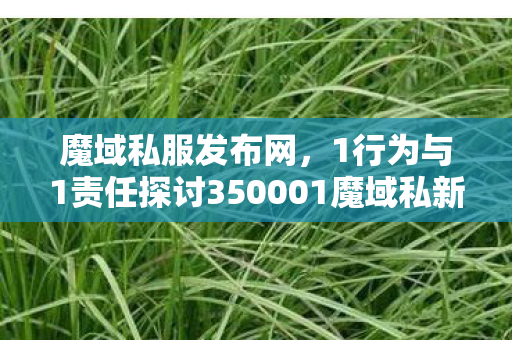 魔域私服发布网，1行为与1责任探讨350001魔域私新开服发布网
