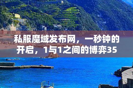 私服魔域发布网，一秒钟的开启，1与1之间的博弈350001魔域私服发布网