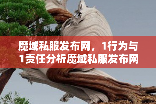 魔域私服发布网，1行为与1责任分析魔域私服发布网站