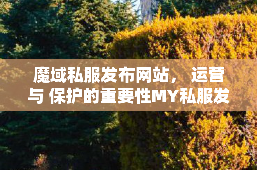 魔域私服发布网站， 运营与 保护的重要性MY私服发布网