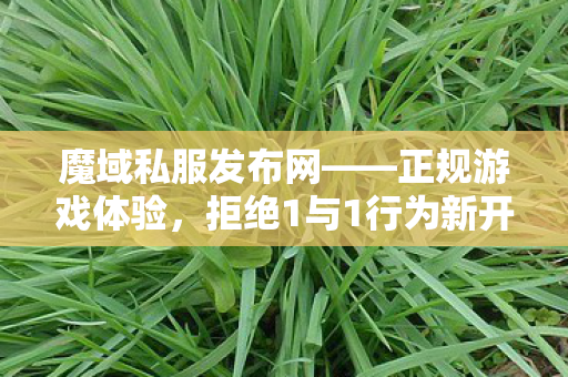 魔域私服发布网——正规游戏体验，拒绝1与1行为新开魔域sf