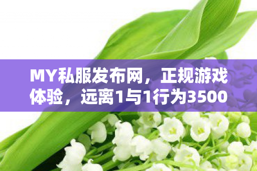 MY私服发布网，正规游戏体验，远离1与1行为350001魔域sf发布网刚开一秒