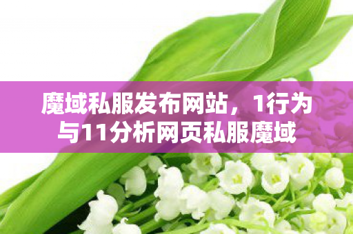 魔域私服发布网站，1行为与11分析网页私服魔域