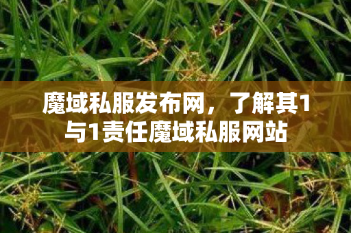 魔域私服发布网，了解其1与1责任魔域私服网站