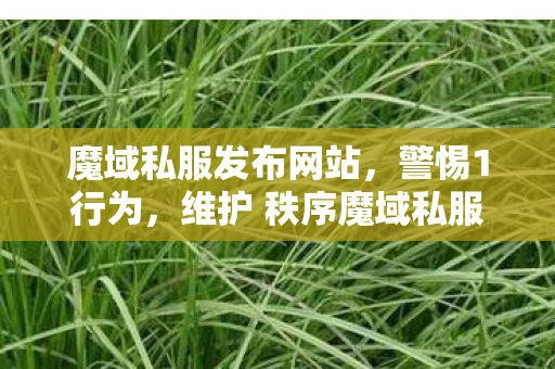 魔域私服发布网站，警惕1行为，维护 秩序魔域私服网