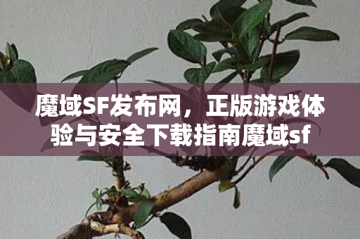 魔域SF发布网，正版游戏体验与安全下载指南魔域sf