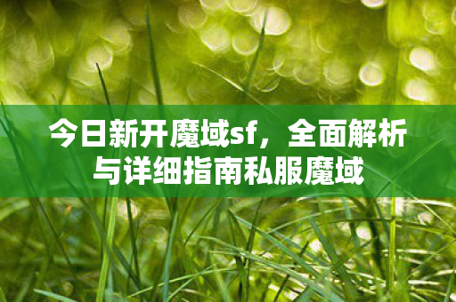 今日新开魔域sf，全面解析与详细指南私服魔域