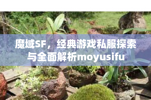 魔域SF，经典游戏私服探索与全面解析moyusifu