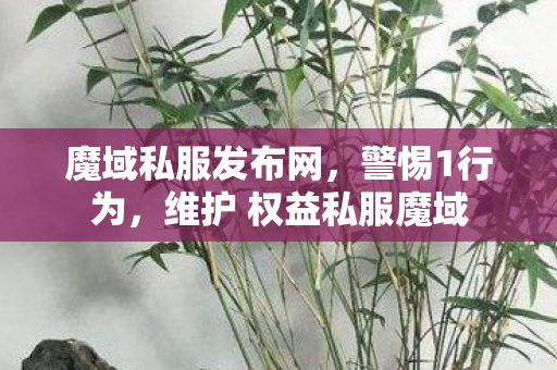 魔域私服发布网，警惕1行为，维护 权益私服魔域