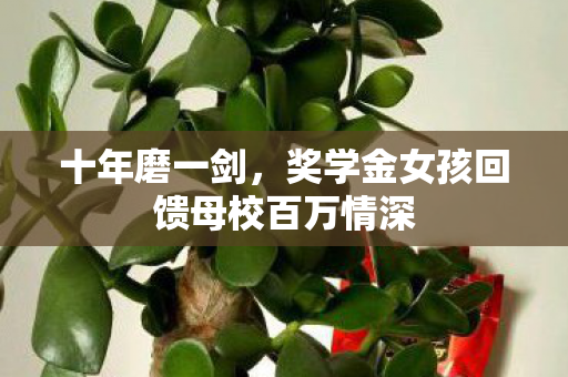 十年磨一剑，奖学金女孩回馈母校百万情深